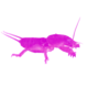 BayiCebret
