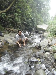 justekoaw